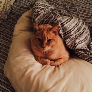 Meet your Posher, Alena